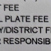 OUCH HOW MUCH Does It Cost To RENEW The Registration On A Ford Lightning EV In California