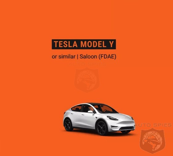 tesla%20model%20y.JPG