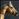SteedPub