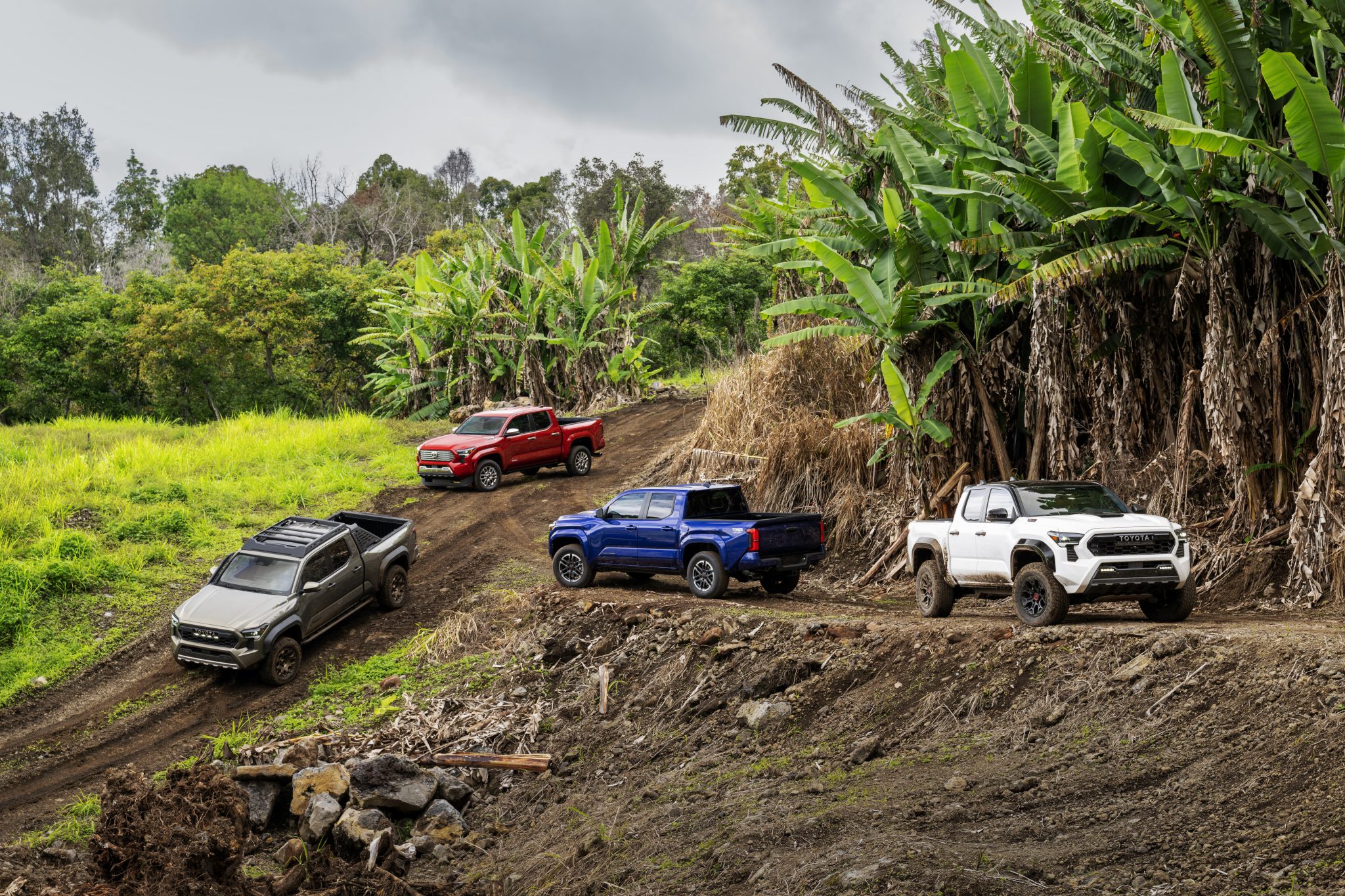 VIDEO It's OFFICIAL! 2024 Toyota REVEALED! AutoSpies Auto News