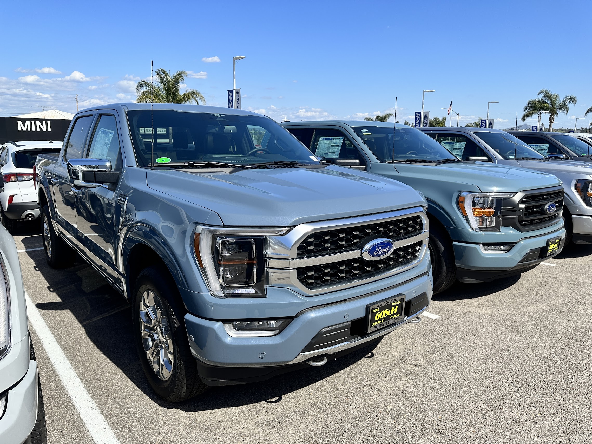 Is Making A COLOR CHOICE On A New Ford F150 Giving You The BLUES? Let