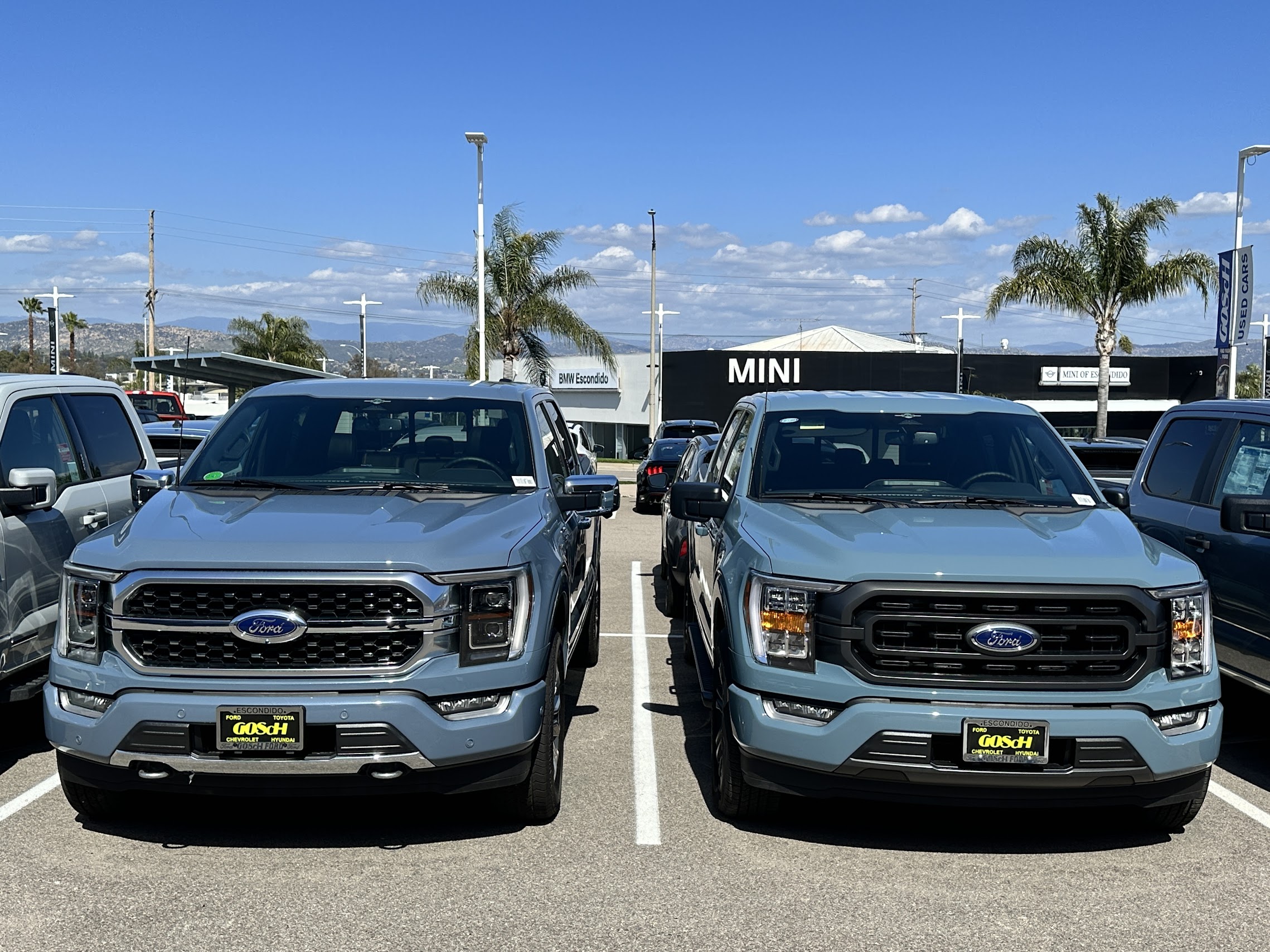 Is Making A COLOR CHOICE On A New Ford F150 Giving You The BLUES? Let