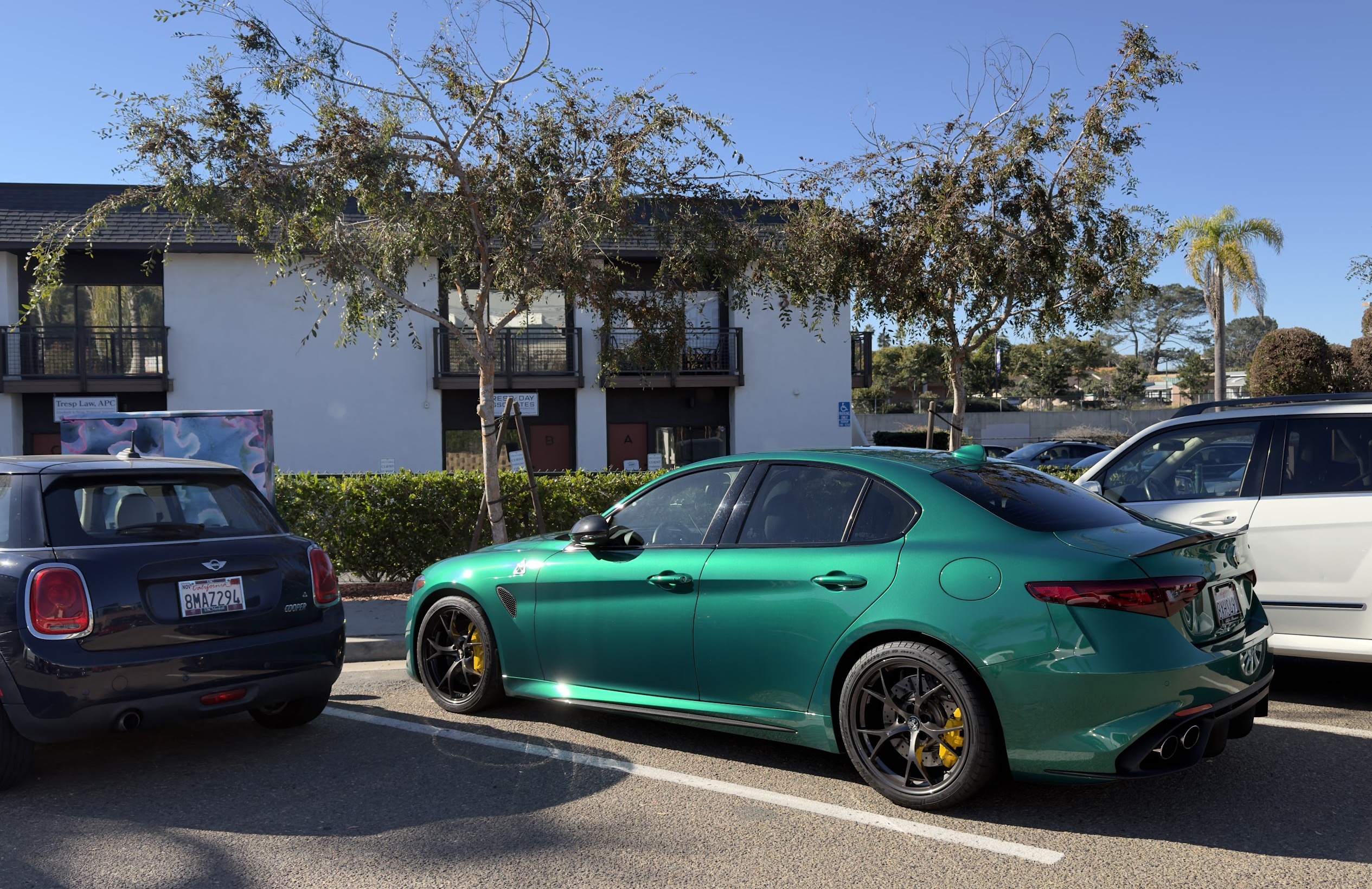 FAVES AND FOES! 2025 Roads: Which Vehicle Colors Are Making You Change ...