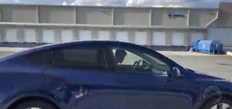 VIDEO: DUMB AND DUMBER. Watch This Kid CRASH A Tesla And His VIDIOTS RECORD And POST The EVIDENCE For The Police.