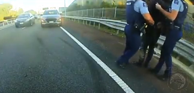 MUST SEE VIDEO! TESLA HATER ATTACKS! CRAZY Road Rage CAUGHT On Tape!