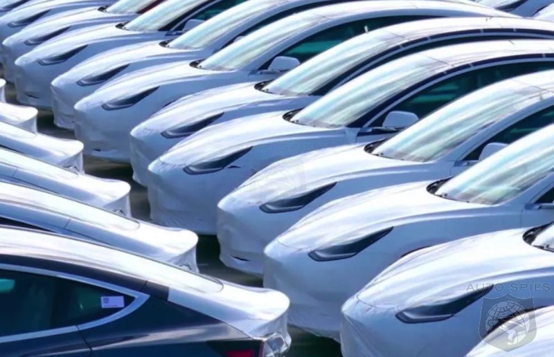EV Sales Leaders. WHICH SURPRISE You And Which One Would YOU Buy From THIS List?