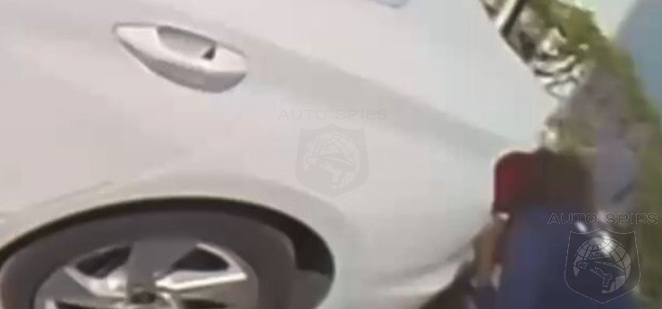 WATCH When The Left Wing Loons Tell Their Followers To Vandalize Teslas But They re Too Dumb To Even Know Their Car Brands