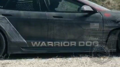 SUNS OUT GUNS OUT Texas Man Has Solution For Tesla Violent Terrorists Our Guess Is They Will Get The POINT