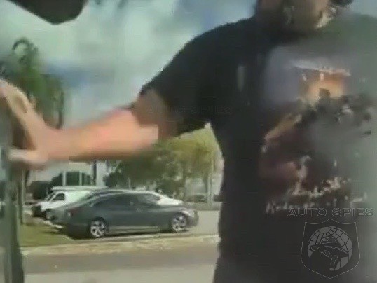 WATCH Is This PROOF That Musk And Trump Haters Are SH TTY People