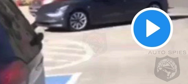 BEST TESLA VIDEO EVER? We Think THIS One Will Be HARD To Beat!