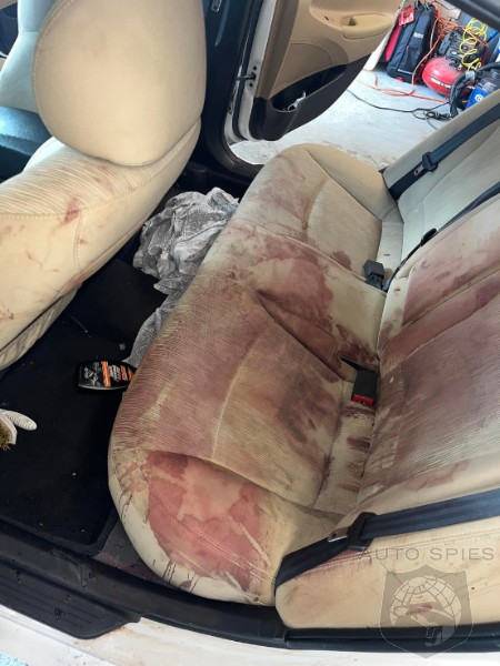 Auto Detailer Promises Not To Ask Questions When Cleaning Your Car