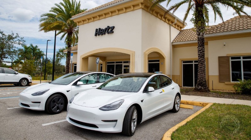 Rental Companies Find Electric Vehicles Have Solid Demand