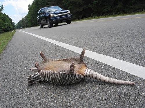 Armadillos Be Damned: Texas Readies First Road For 85 MPH Speed Limit ...