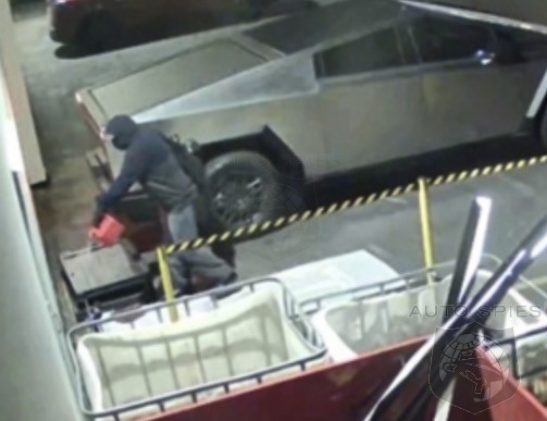 Man Who Set Fire To A Tesla During DOGE Protests Sentenced To 5 Years ...