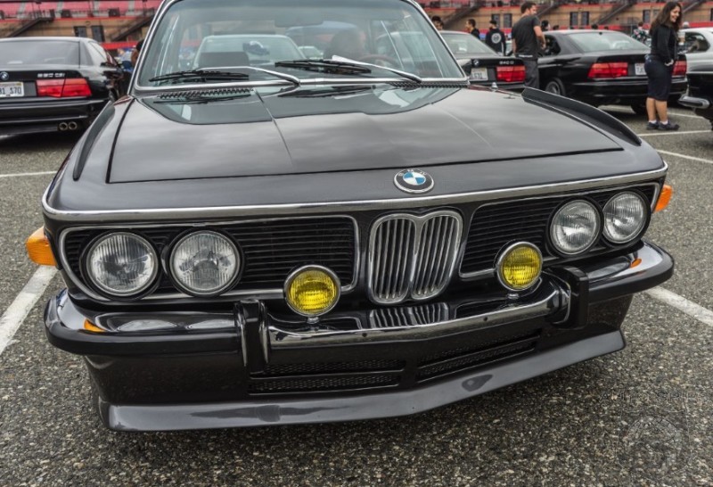 #BIMMERFEST: The REAL Stars Of The Show, The VINTAGE BMWs, Come Out To Play!