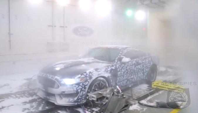 VIDEO: This Is How EXTREME Ford Tested The All-New Shelby GT350