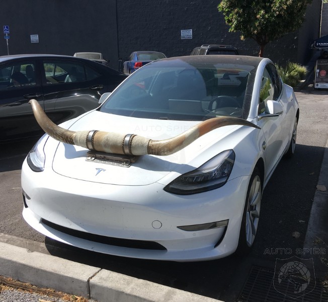 Rumor If You Haven T Changed Your Mind On Tesla You Might Want