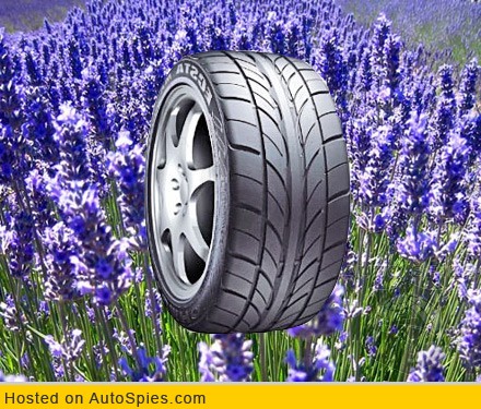 Lavender-Scented Burnouts?